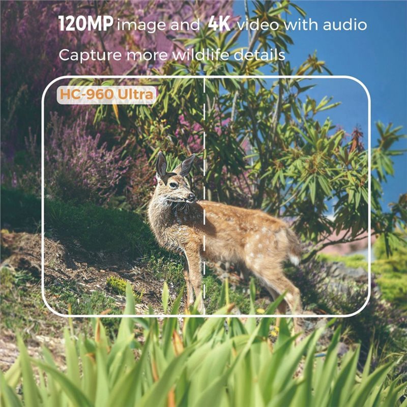 FEDI-Waterproof 120MP 4G Outdo - Hunting Outdoor Shows ulasan dan harga