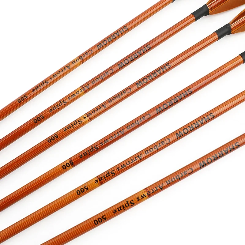 6/12pcs Mixed Carbon Arrows SP - Arrow Carbon Shaft ulasan dan harga