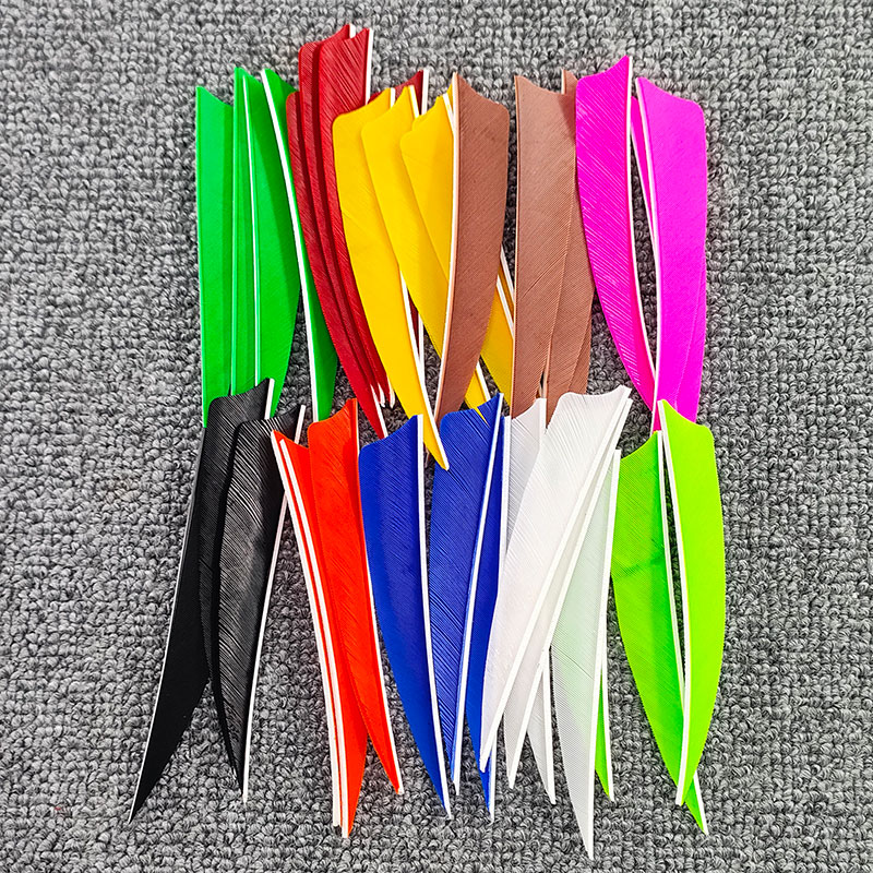 50pcs Archery Arrow Feathers 4 - Arrow Carbon Shaft ulasan dan harga