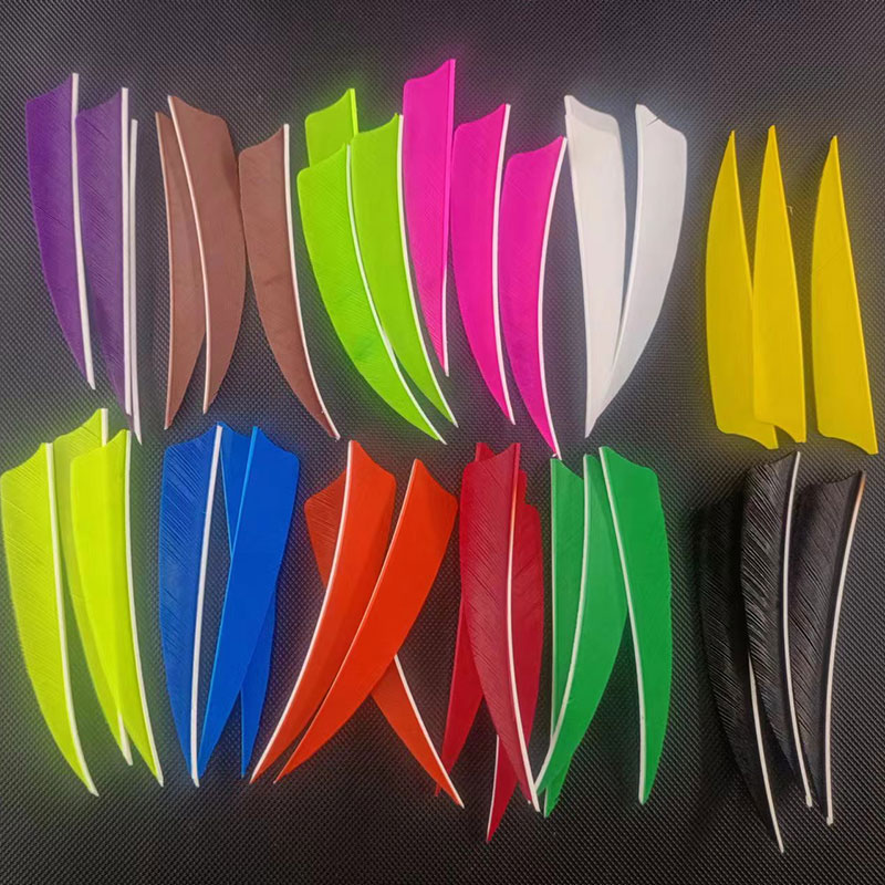50pcs Archery Arrow Feathers 4 - Arrow Carbon Shaft ulasan dan harga