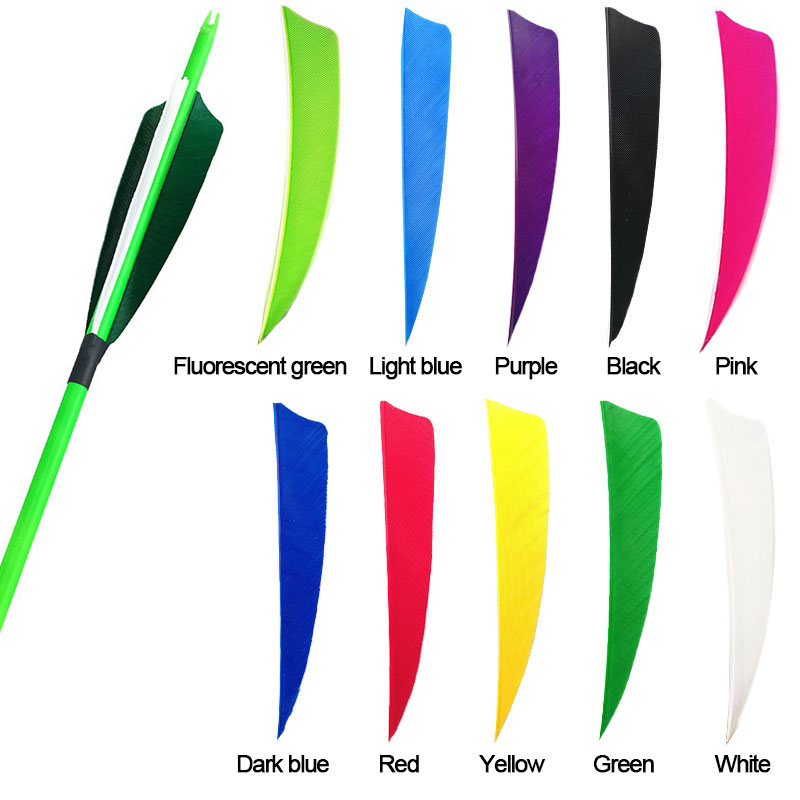 50pcs Archery Arrow Feathers 4 - Arrow Carbon Shaft ulasan dan harga